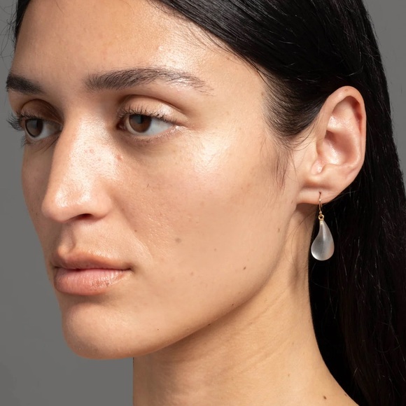 Alexis Bittar Rose Grey Lucite Dewdrop Earrings with Pouch! - Picture 11 of 11